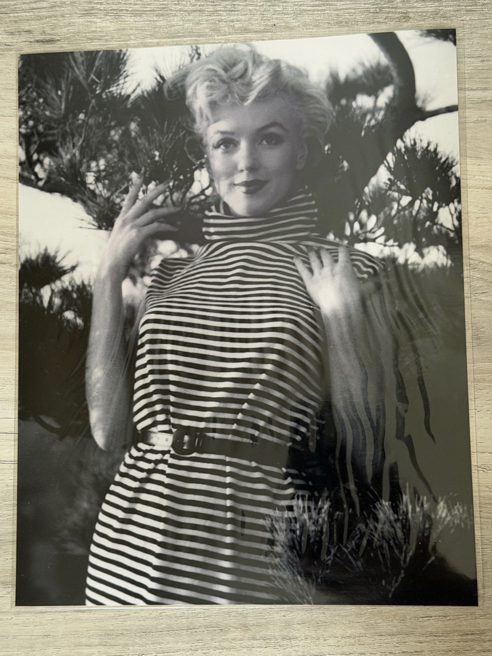 Marilyn Monroe Black and White Tree Photo 8x10